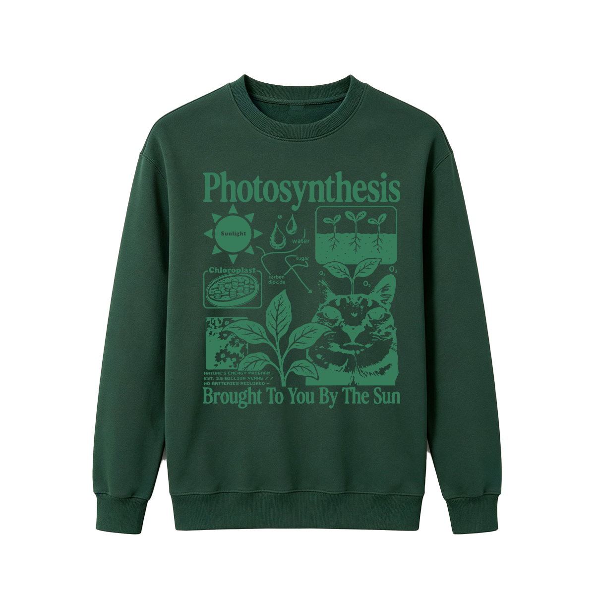Photosynthesis Cat Oversized T-shirt