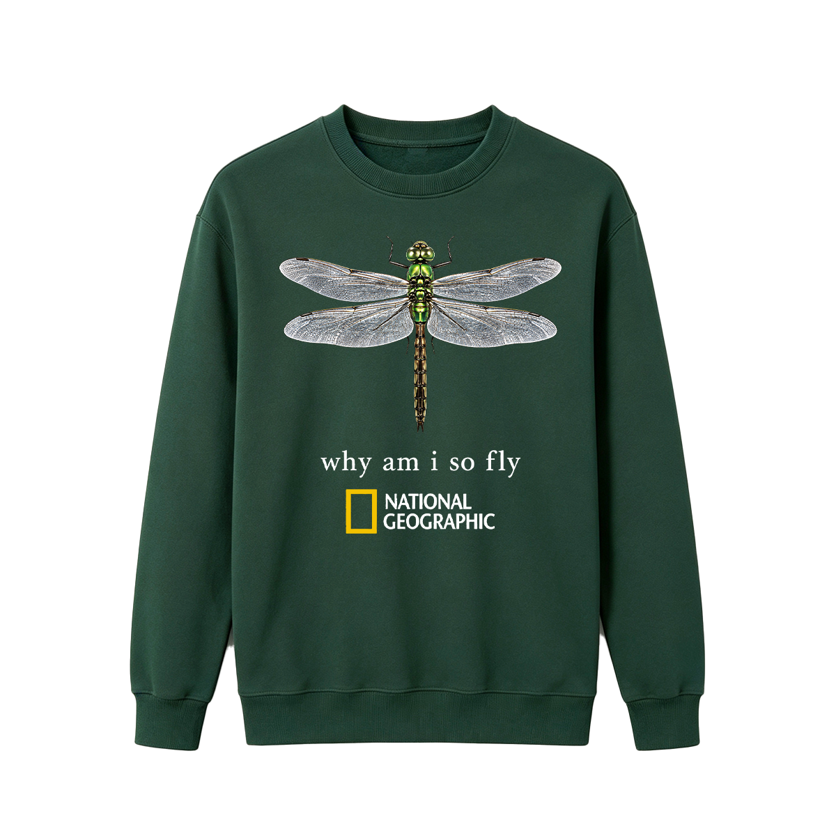 Vintage "Why Am I So Fly" Boxy Oversized T-shirt