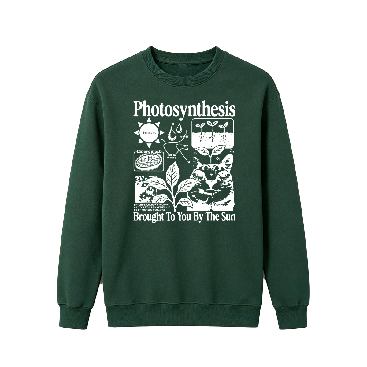 Photosynthesis Cat Oversized T-shirt