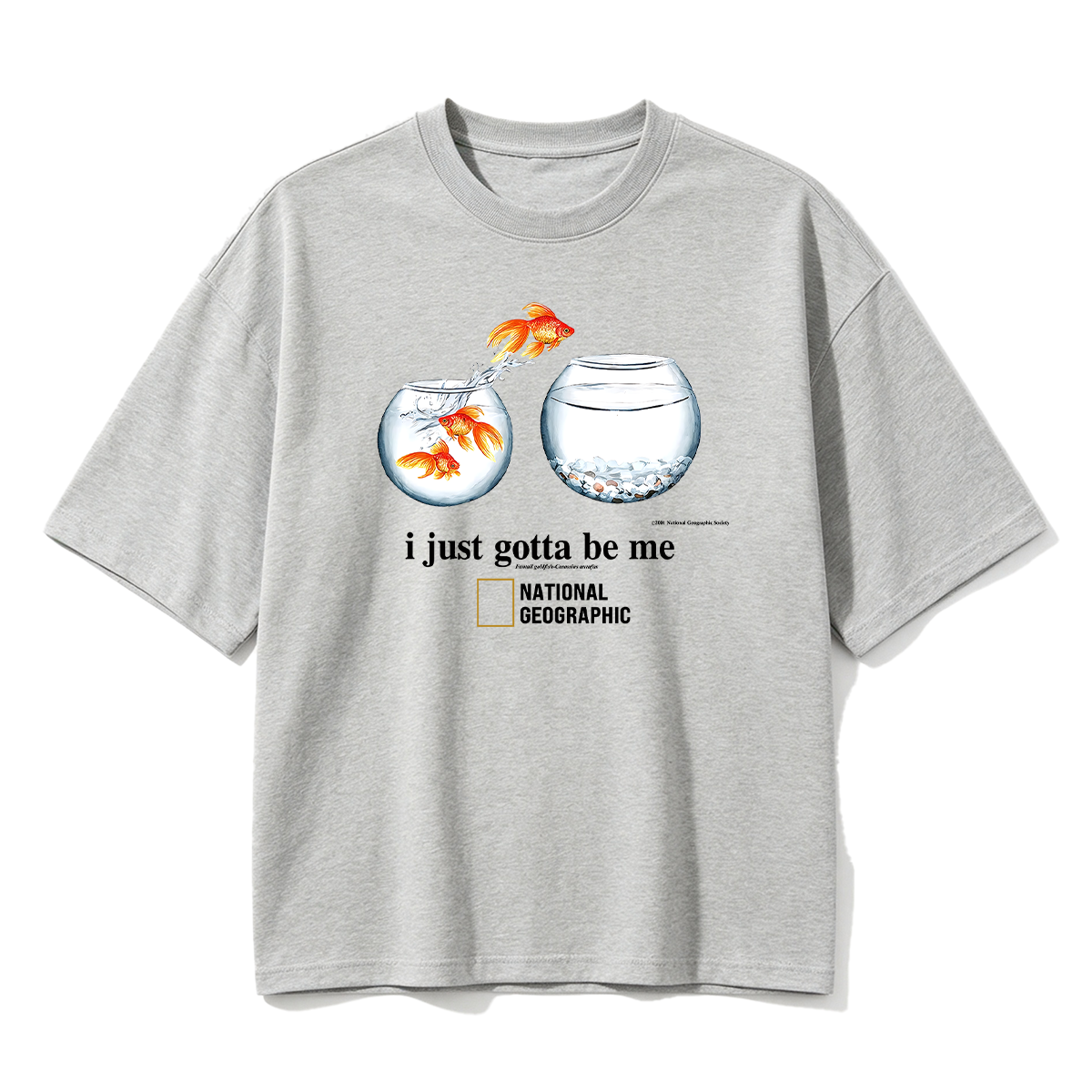 I Just Gotta Be Me Flying Goldfish Oversized T-shirt