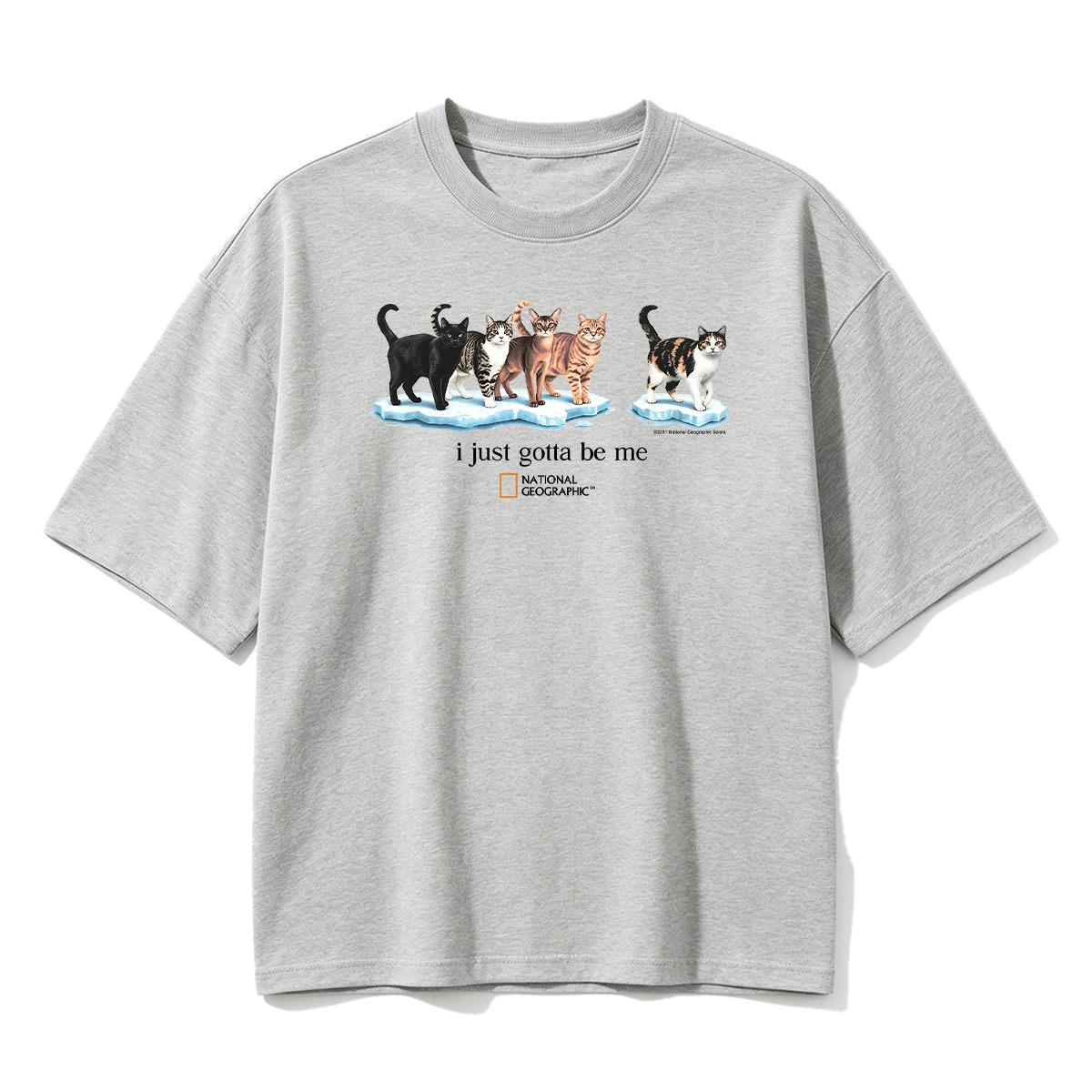I Just Gotta Be Me T-shirt