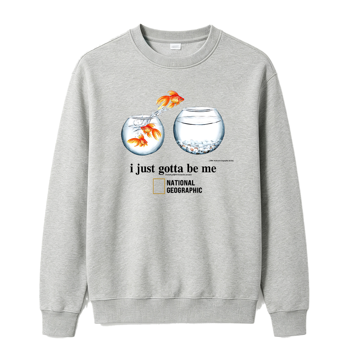 I Just Gotta Be Me Flying Goldfish Oversized T-shirt