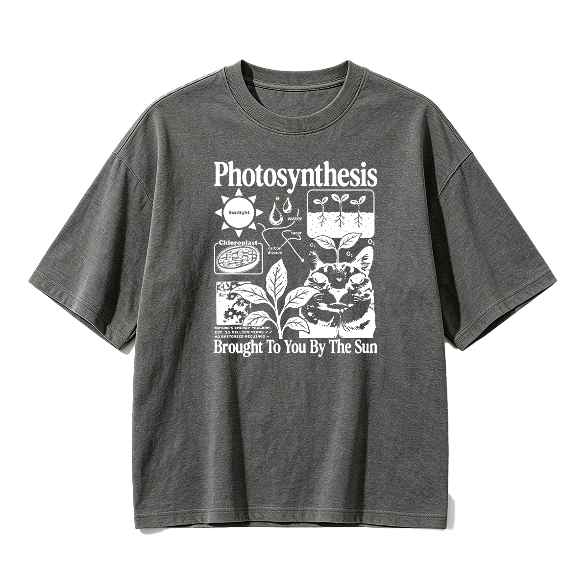 Photosynthesis Cat Oversized T-shirt