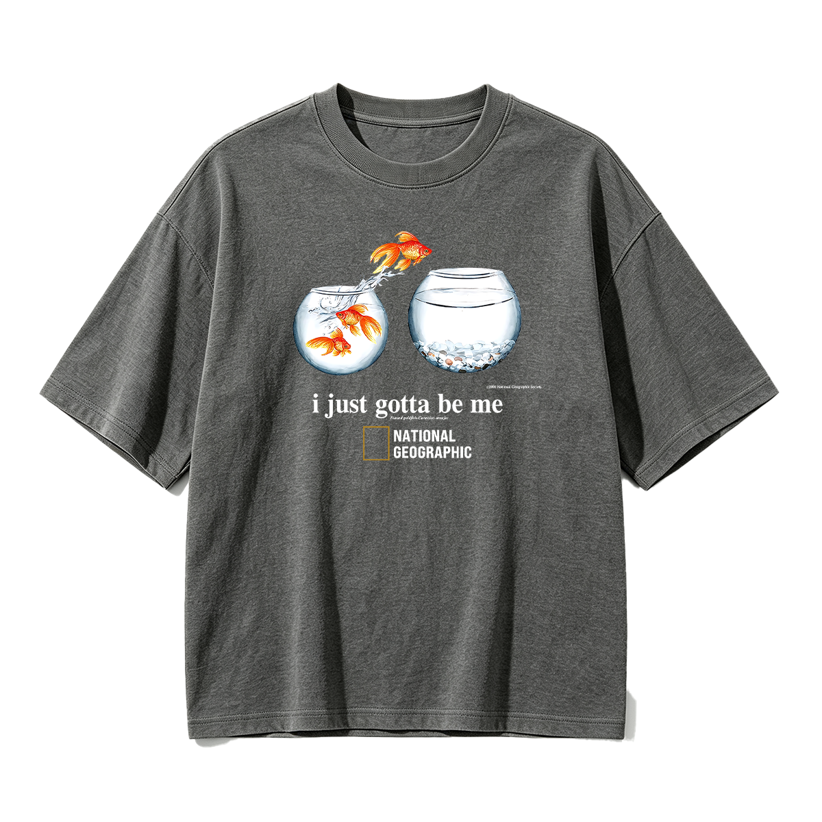 I Just Gotta Be Me Flying Goldfish Oversized T-shirt