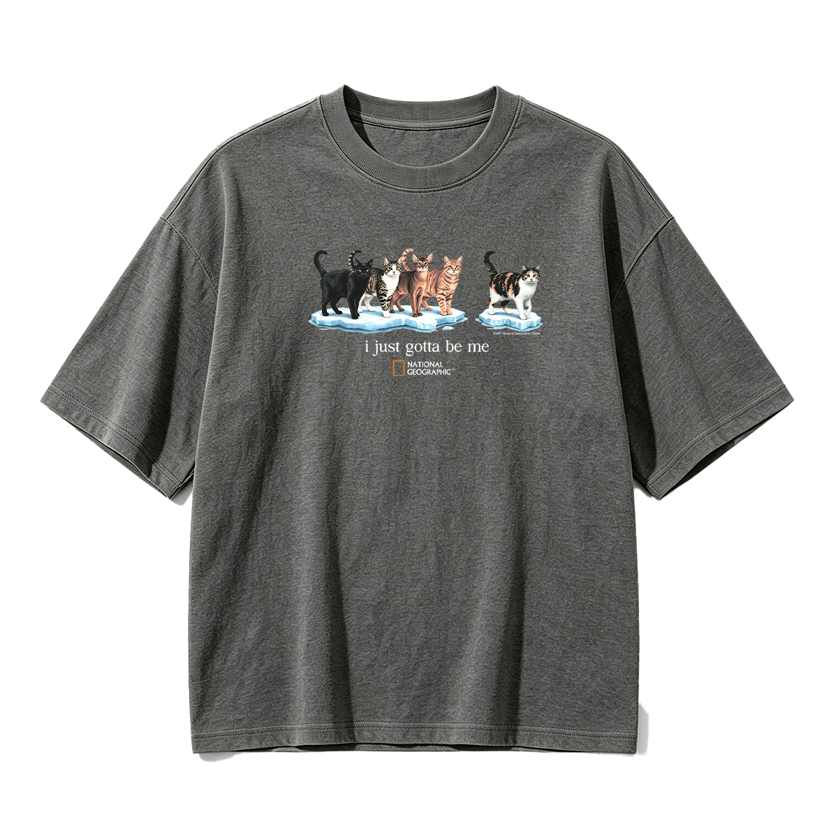 I Just Gotta Be Me T-shirt