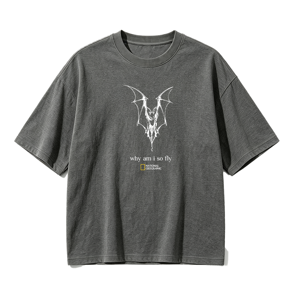 why am i so fly T-shirt