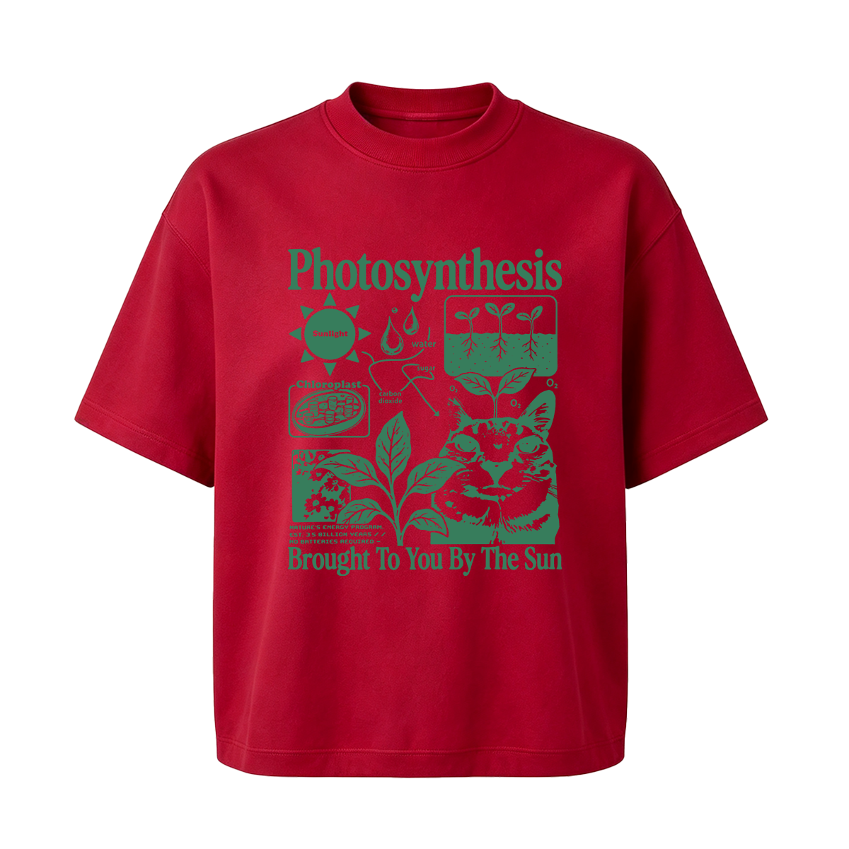 Photosynthesis Cat Oversized T-shirt