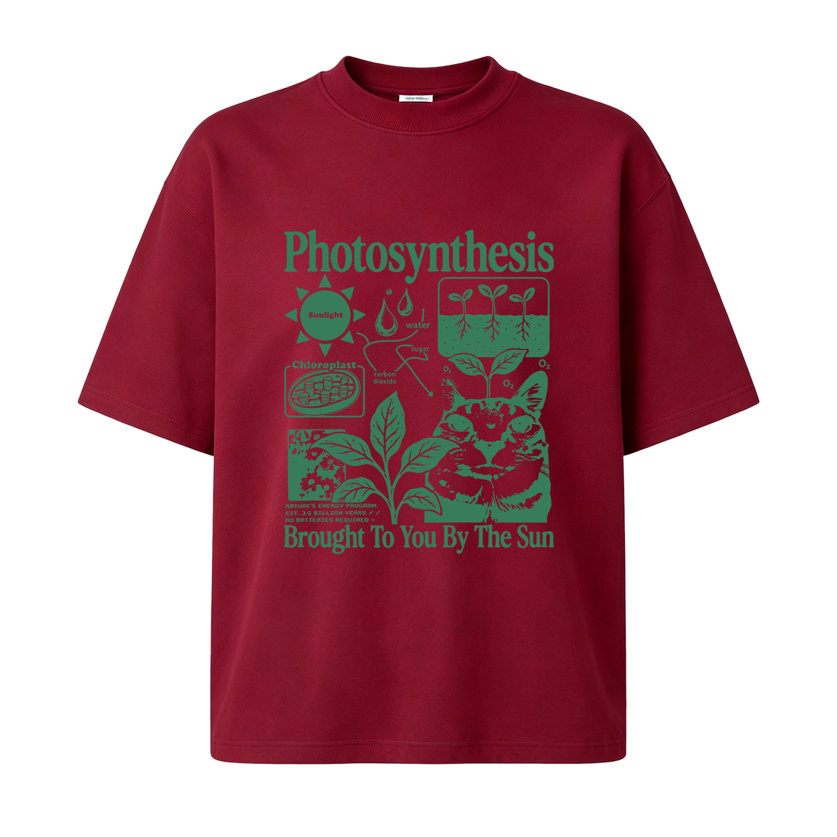 Photosynthesis Cat Oversized T-shirt