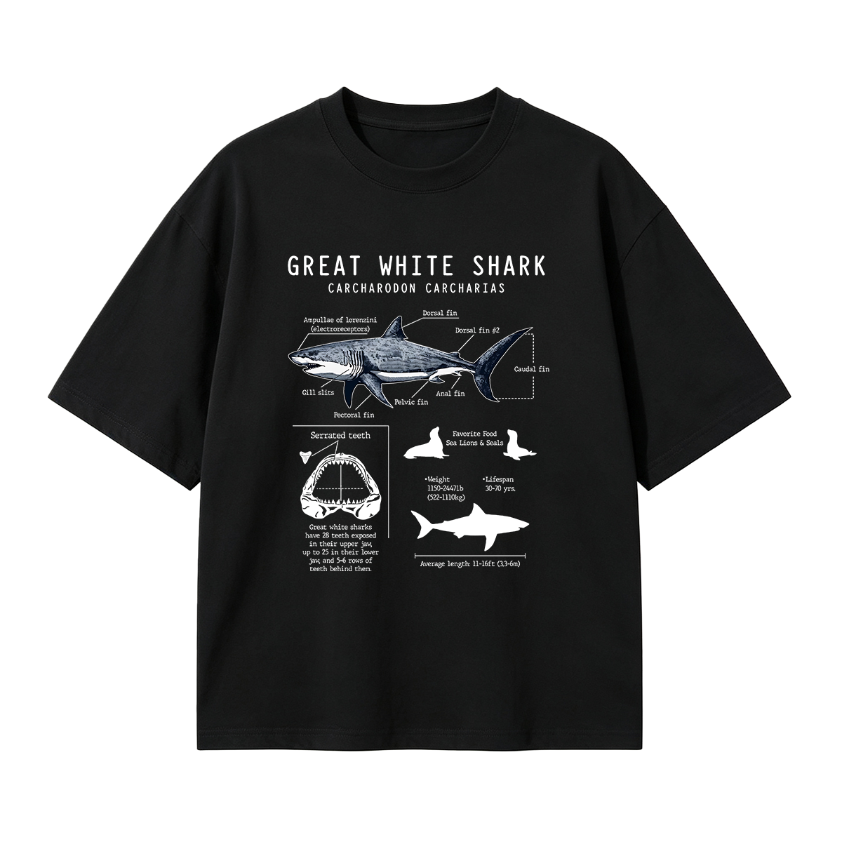 Great White Shark Anatomy Oversized T-shirt