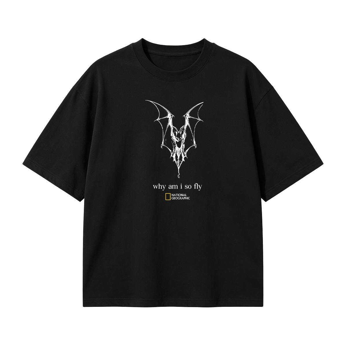 why am i so fly T-shirt