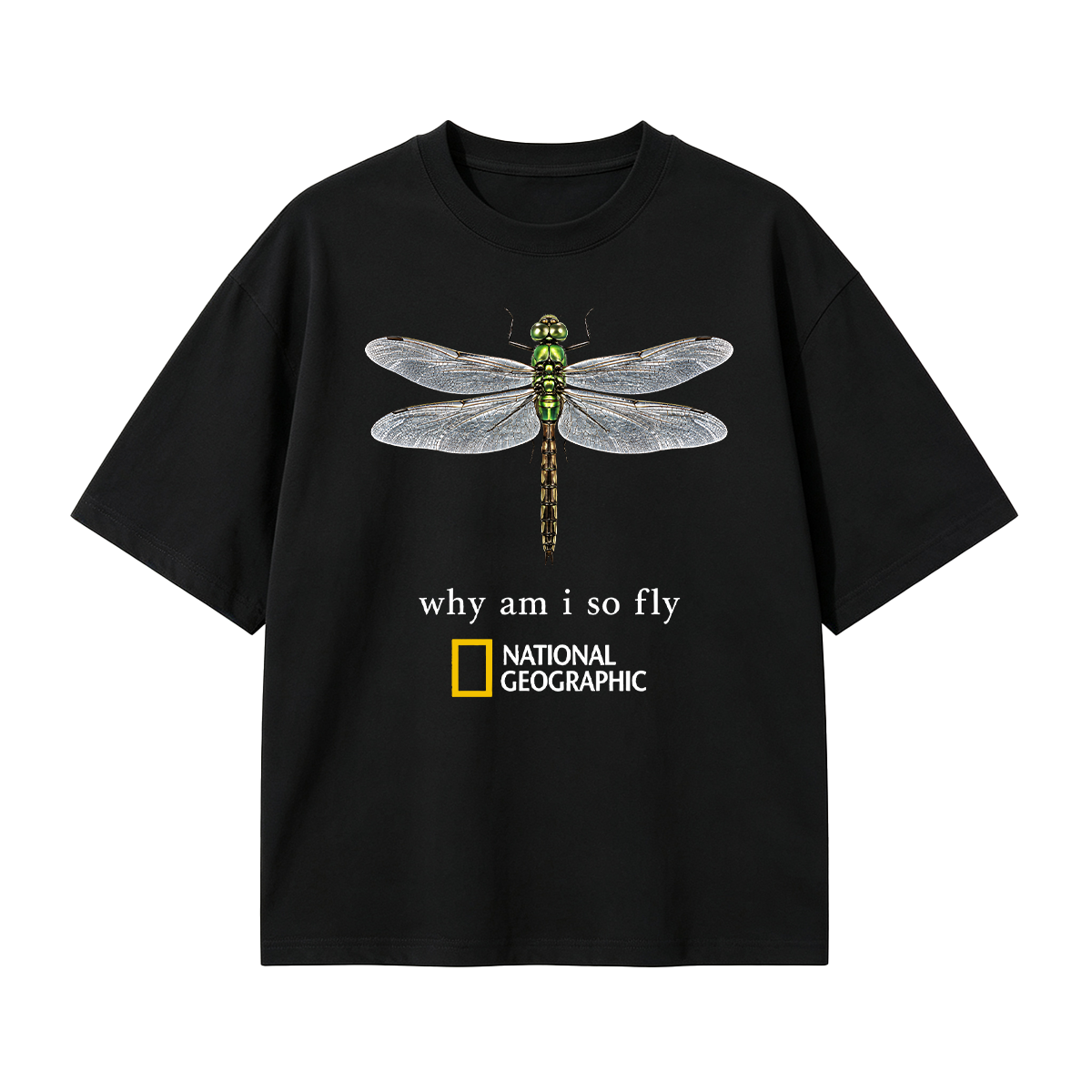 Vintage "Why Am I So Fly" Boxy Oversized T-shirt