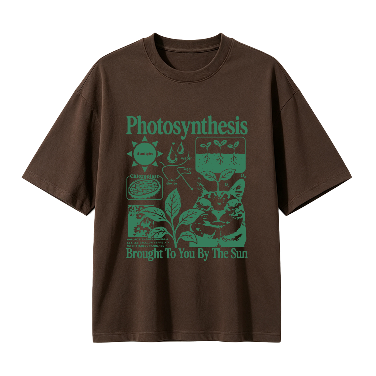 Photosynthesis Cat Oversized T-shirt