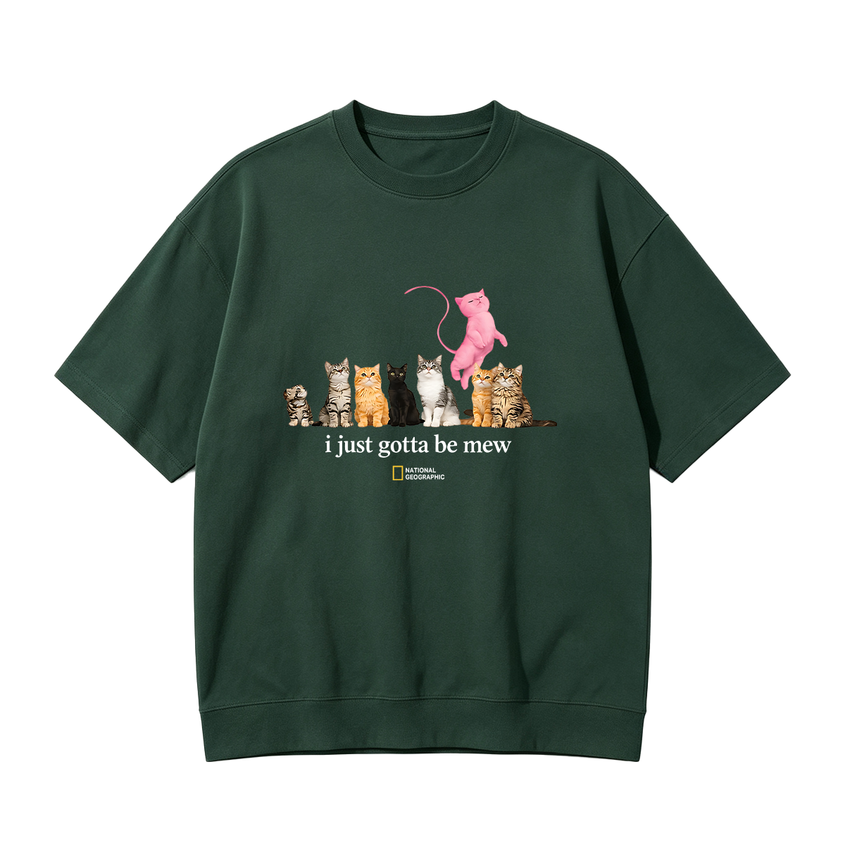 Cat I just gotta be mew T-shirt