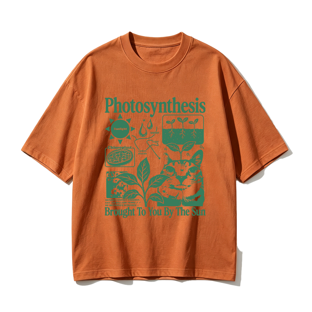 Photosynthesis Cat Oversized T-shirt