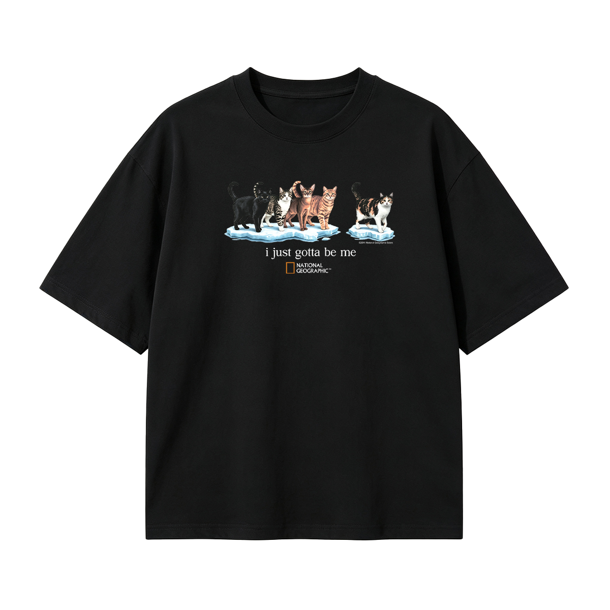 I Just Gotta Be Me T-shirt