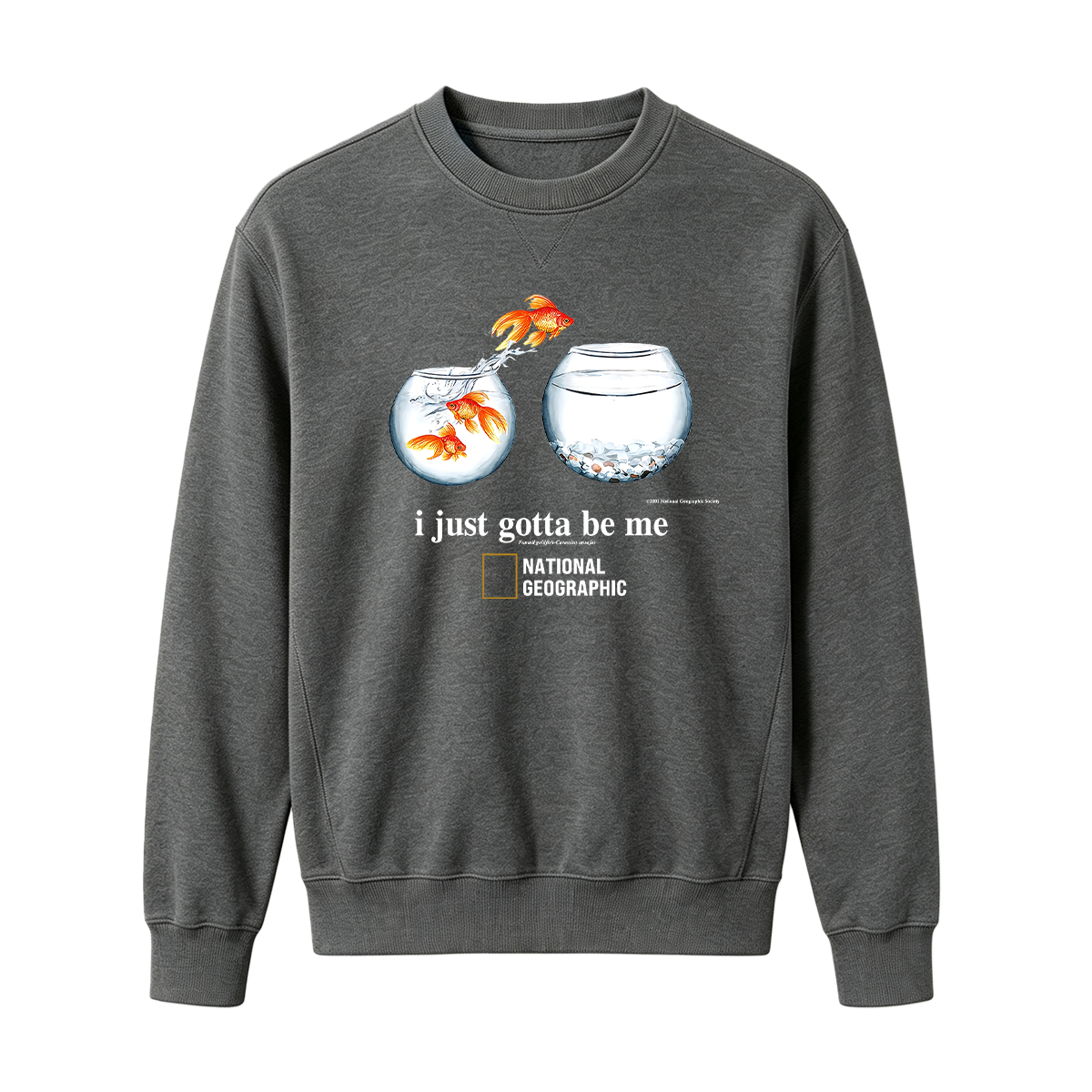 I Just Gotta Be Me Flying Goldfish Oversized T-shirt