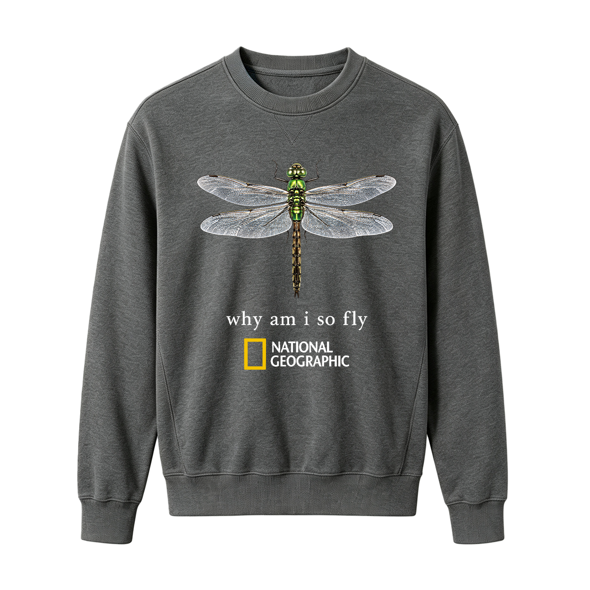 Vintage "Why Am I So Fly" Boxy Oversized T-shirt