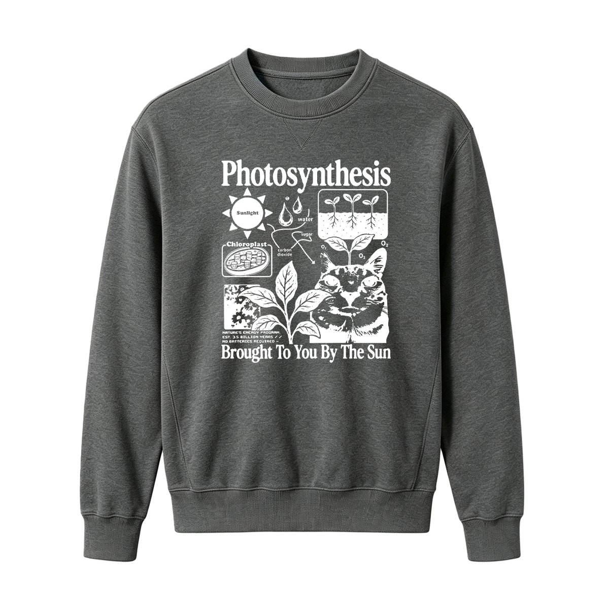 Photosynthesis Cat Oversized T-shirt