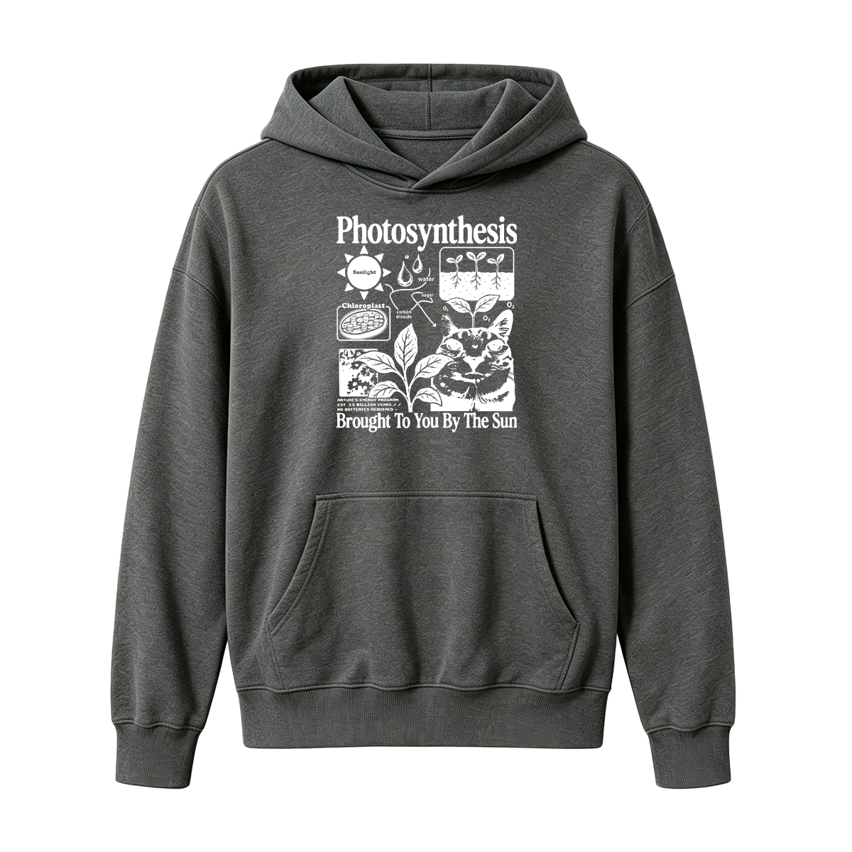 Photosynthesis Cat Oversized T-shirt