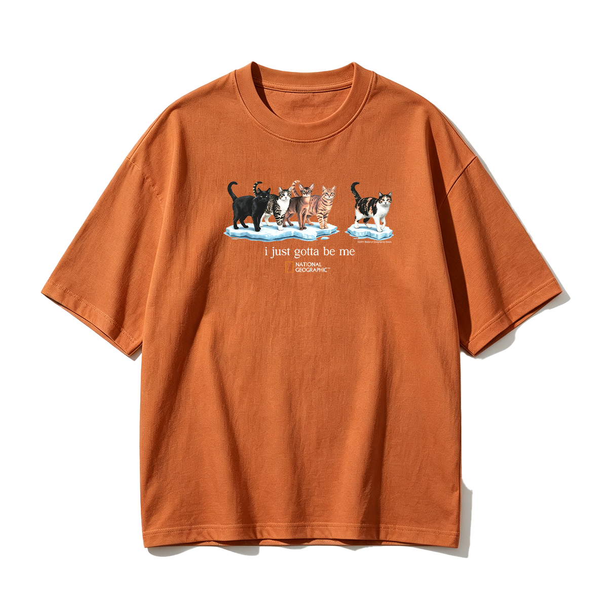 I Just Gotta Be Me T-shirt