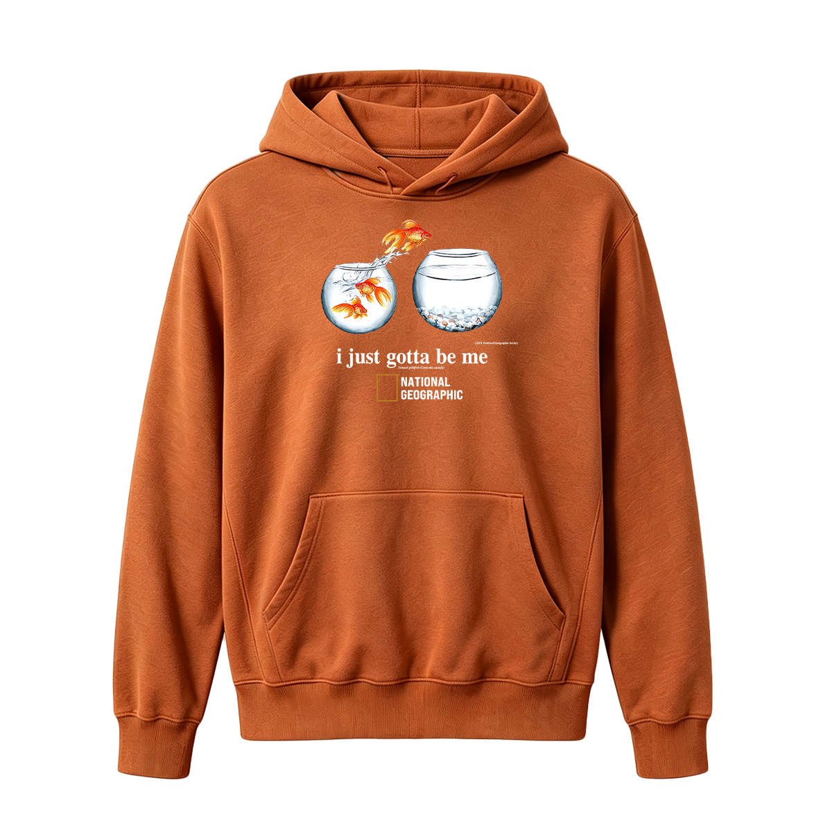 I Just Gotta Be Me Flying Goldfish Oversized T-shirt