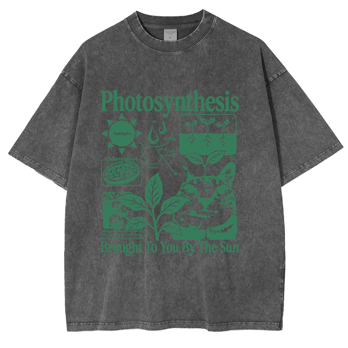 Photosynthesis Cat Washed T-shirts