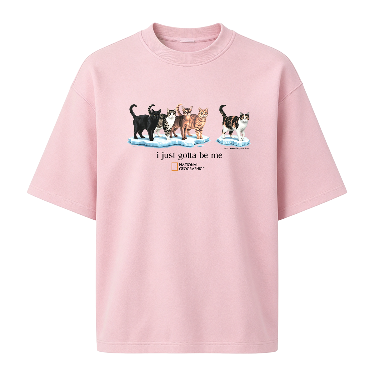 I Just Gotta Be Me T-shirt