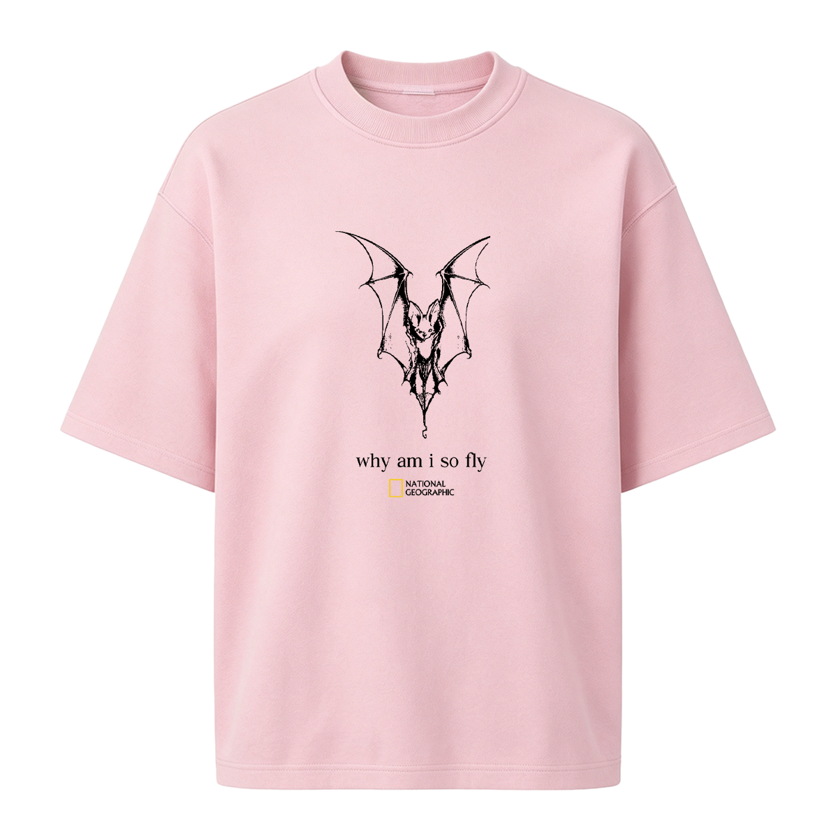 why am i so fly T-shirt