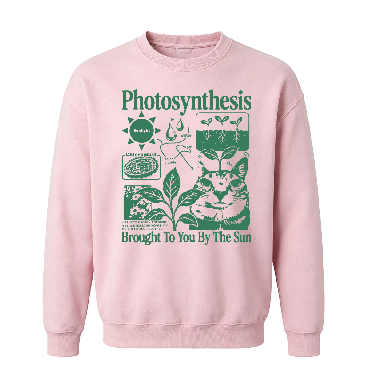 Photosynthesis Cat Oversized T-shirt