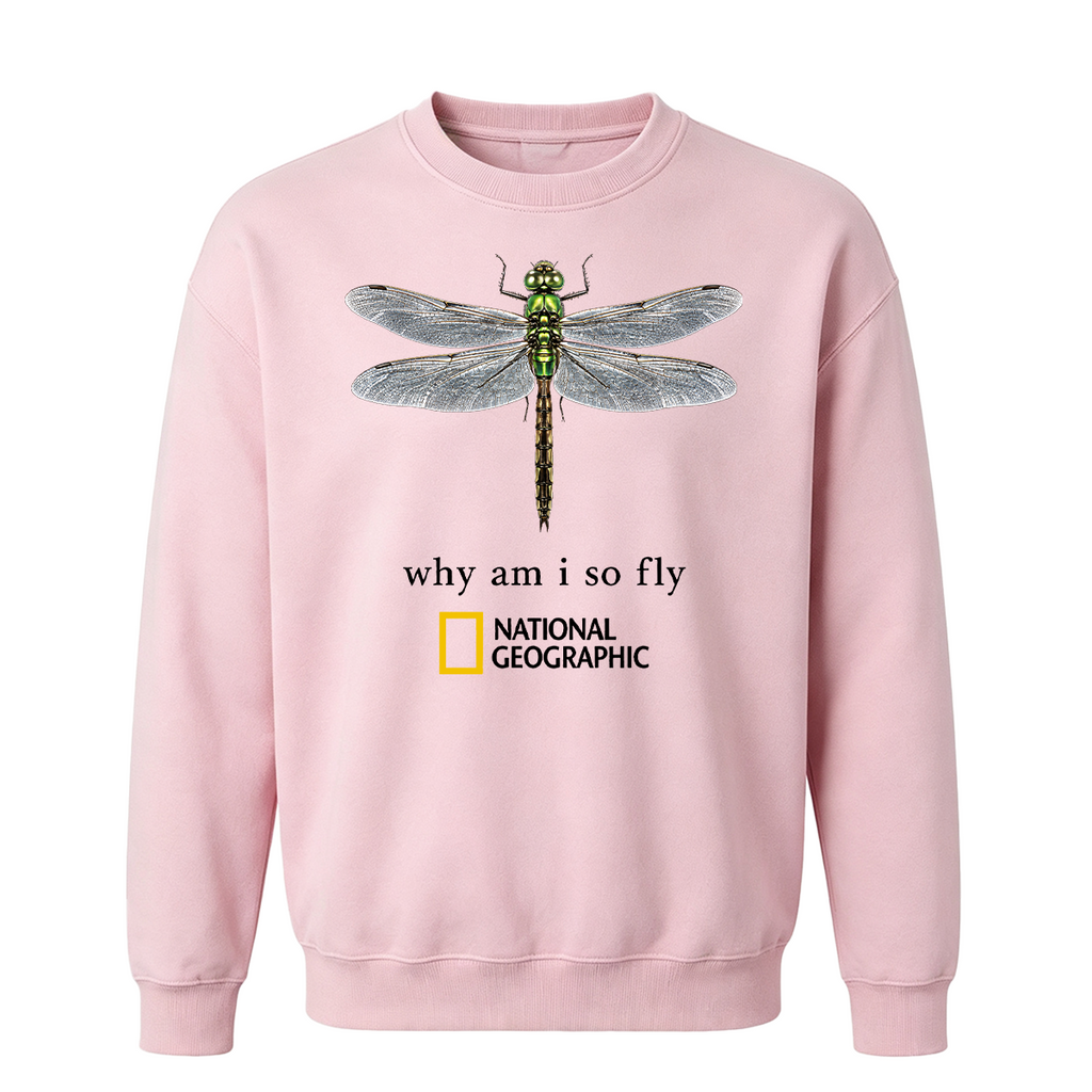 Vintage "Why Am I So Fly" Boxy Oversized T-shirt
