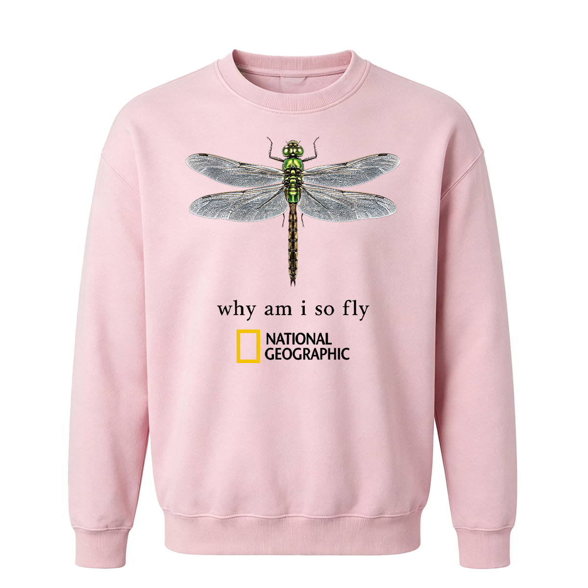 Vintage "Why Am I So Fly" Boxy Oversized T-shirt