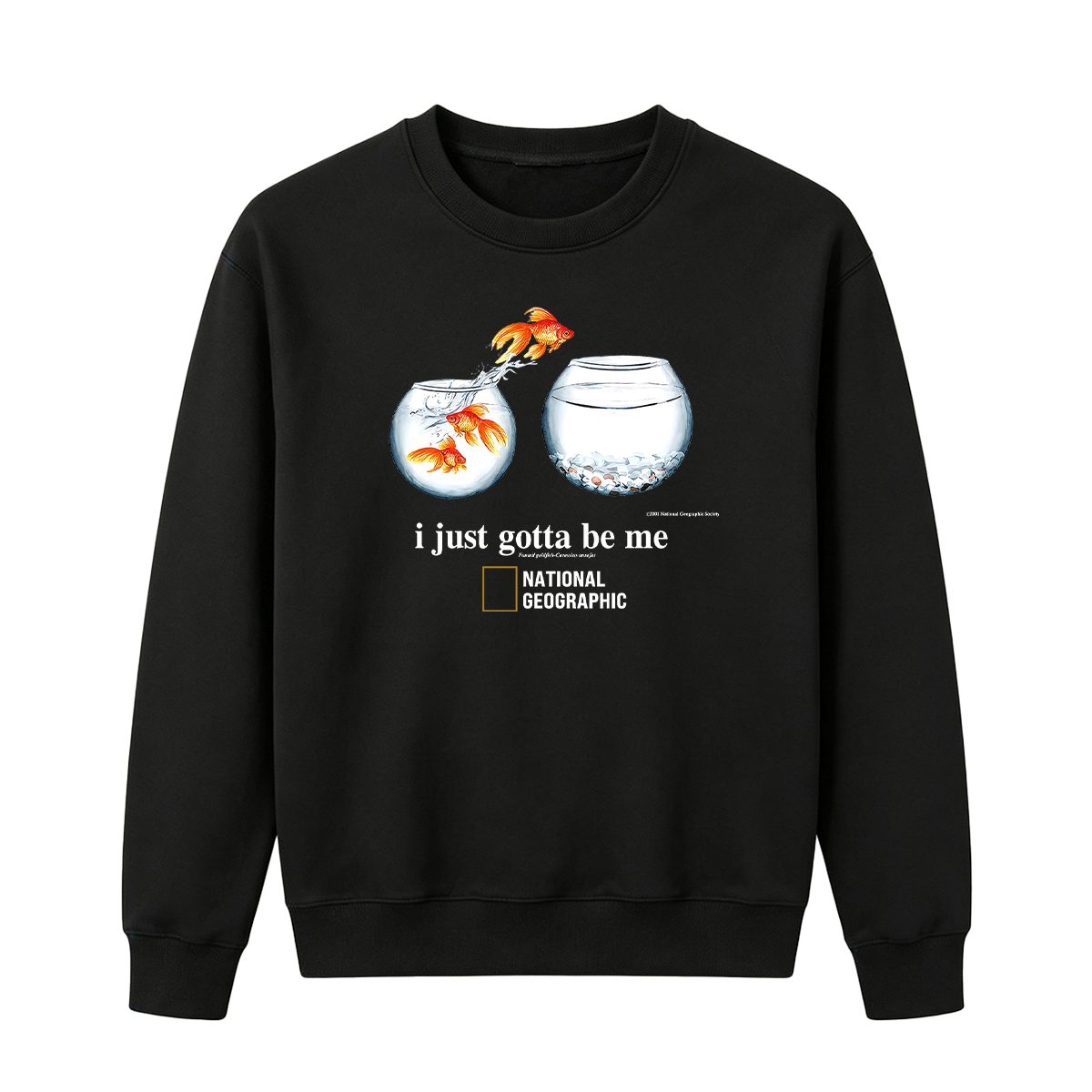 I Just Gotta Be Me Flying Goldfish Oversized T-shirt