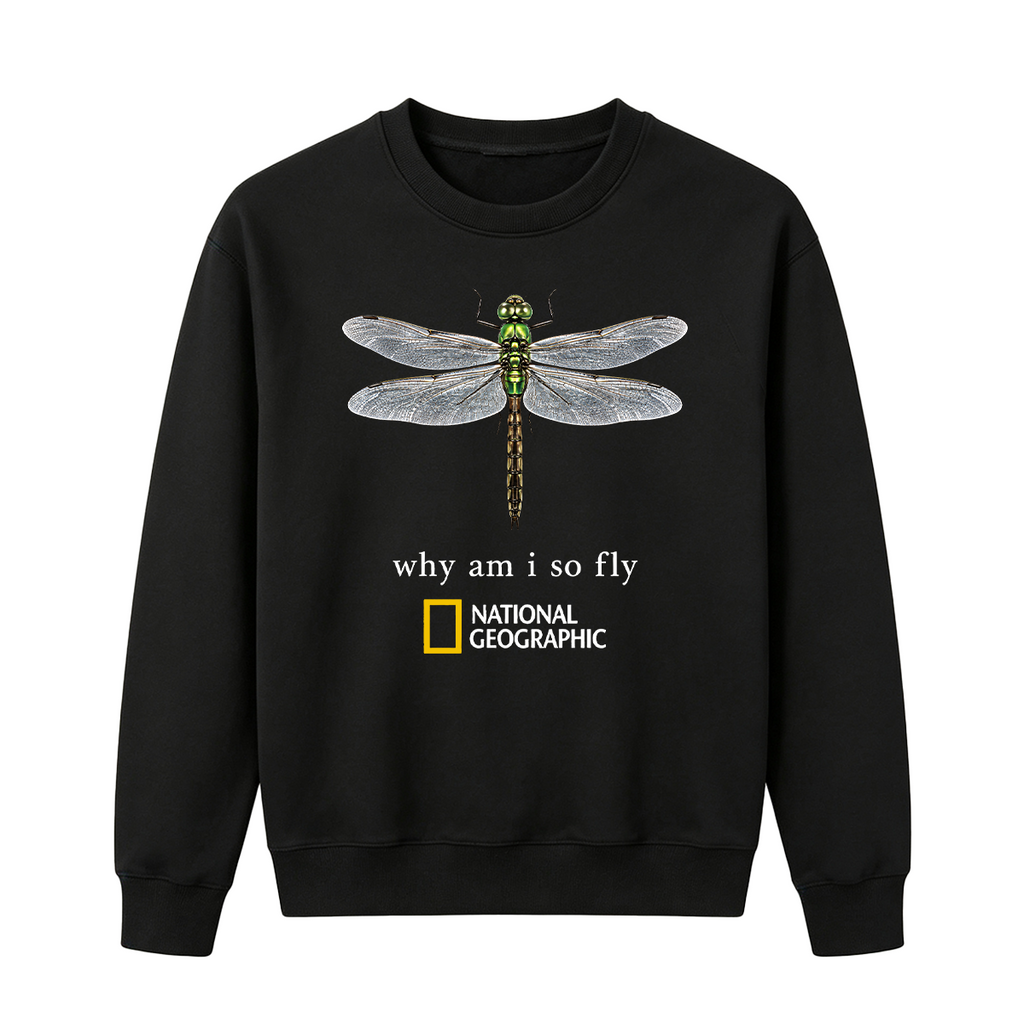 Vintage "Why Am I So Fly" Boxy Oversized T-shirt