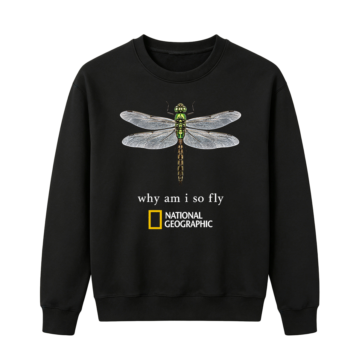 Vintage "Why Am I So Fly" Boxy Oversized T-shirt