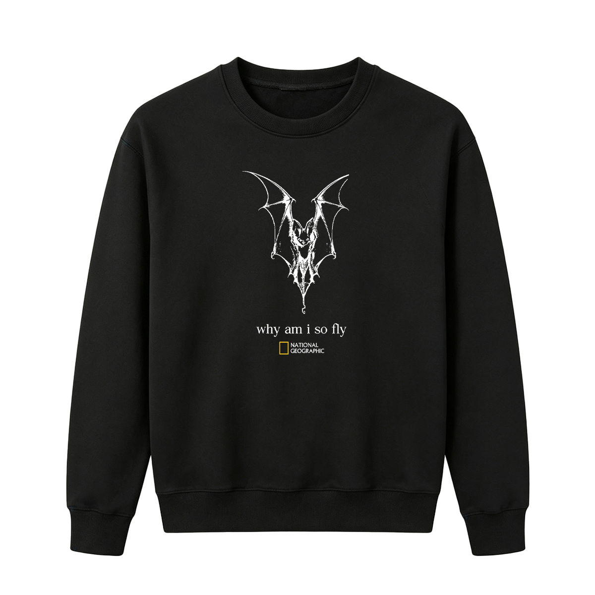 why am i so fly T-shirt