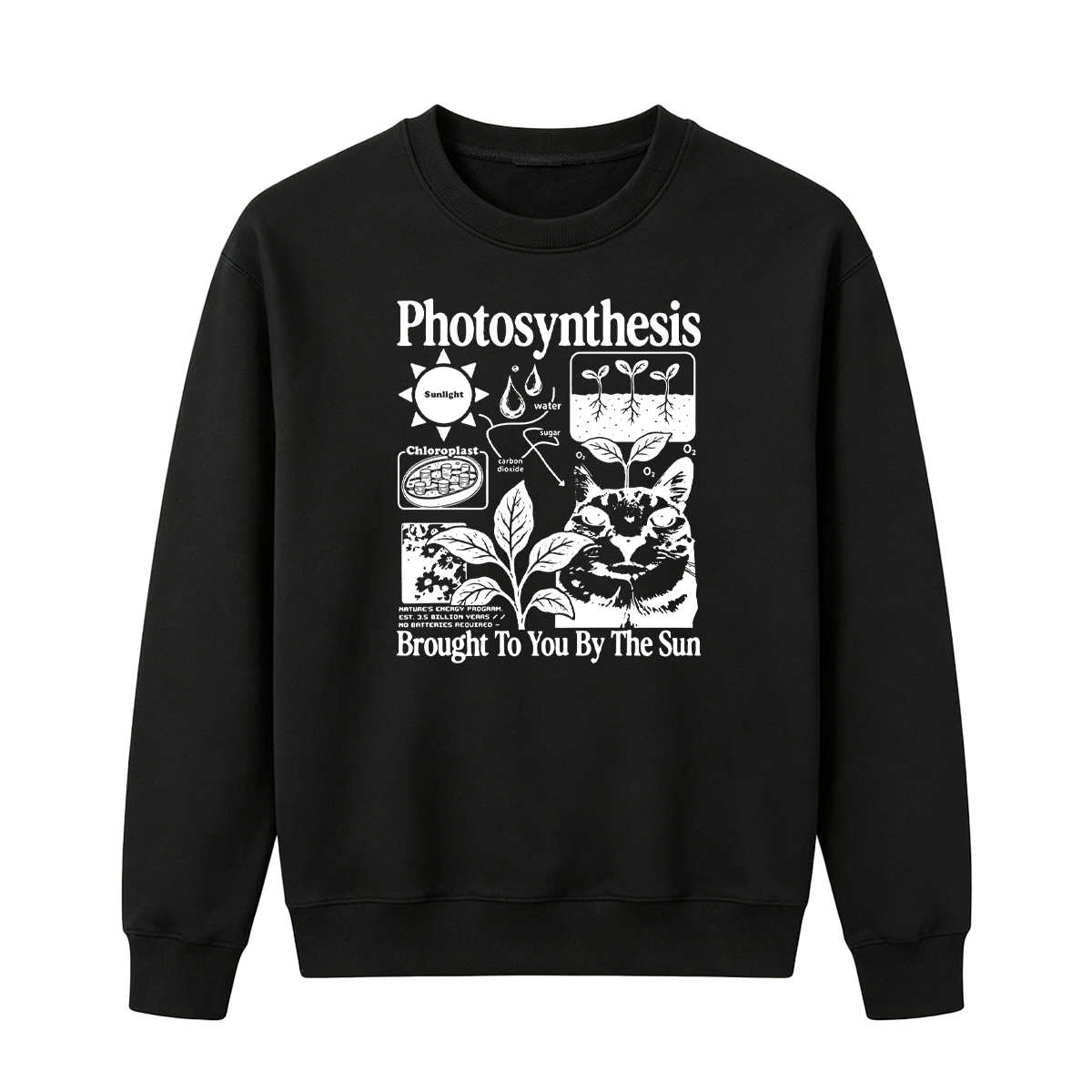 Photosynthesis Cat Oversized T-shirt