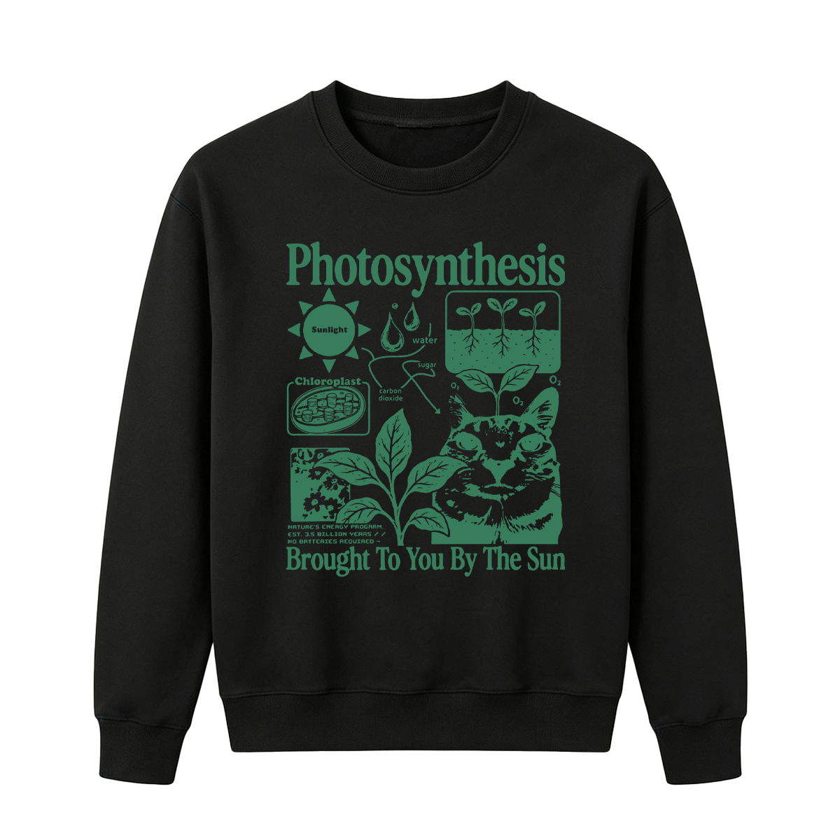 Photosynthesis Cat Oversized T-shirt