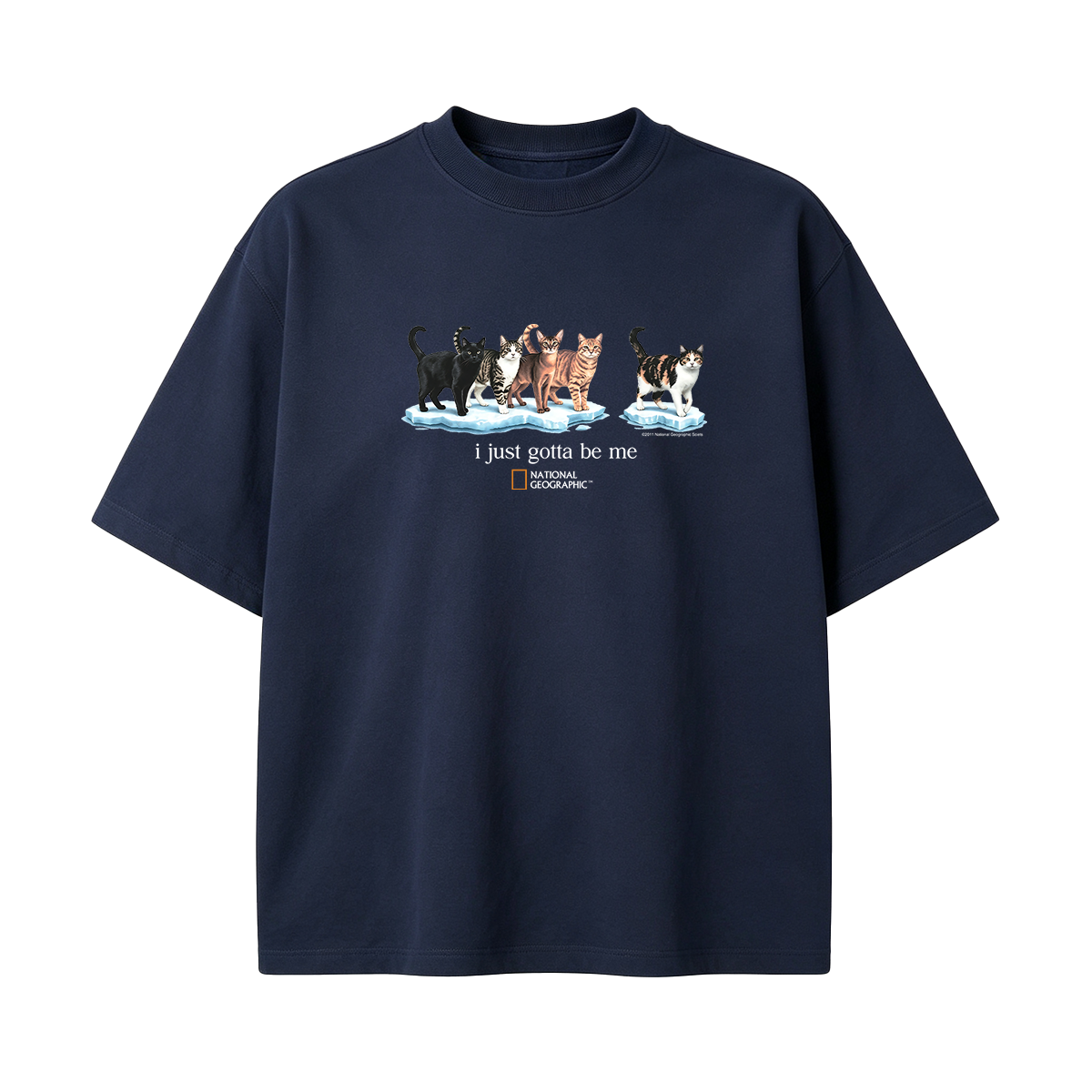 I Just Gotta Be Me T-shirt