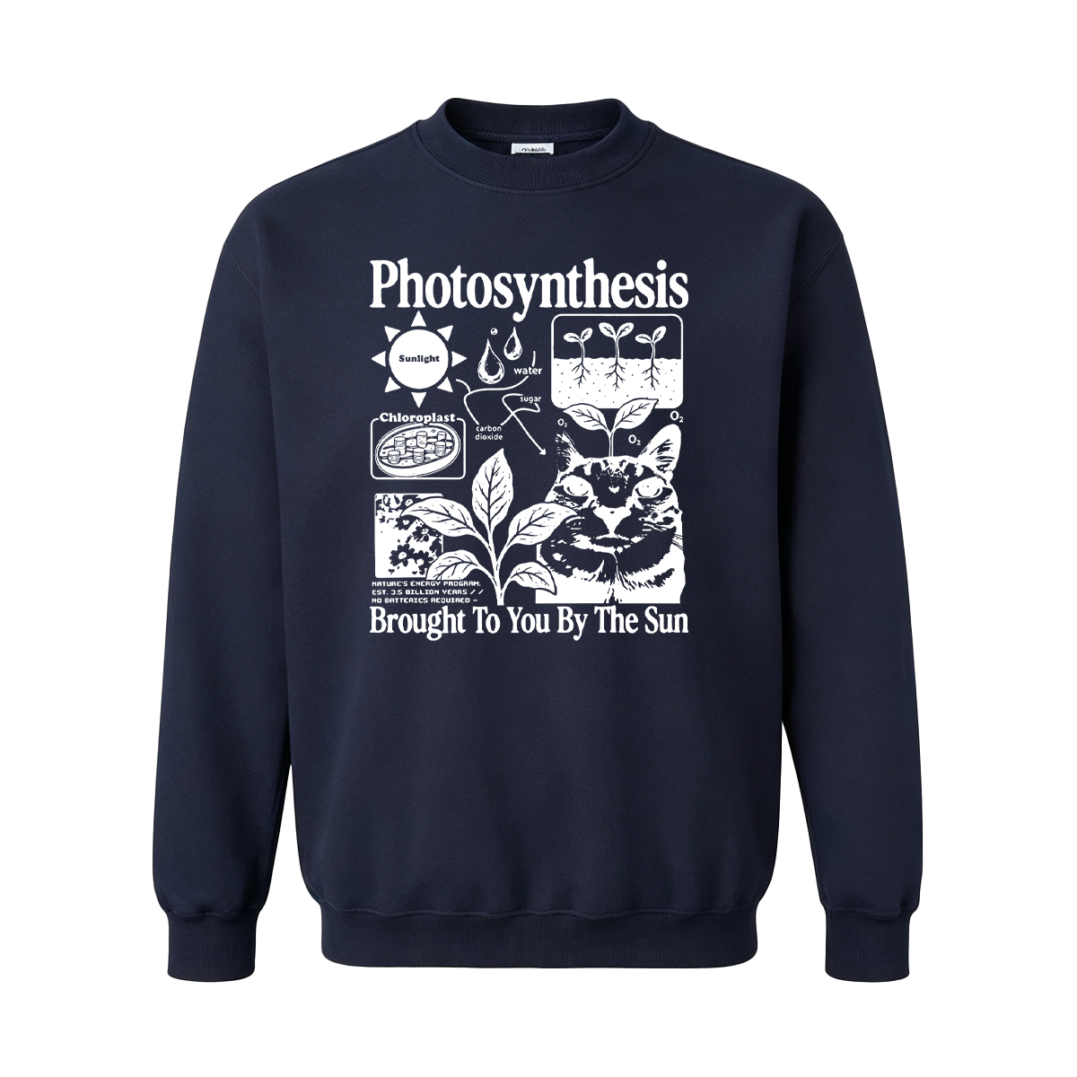 Photosynthesis Cat Oversized T-shirt