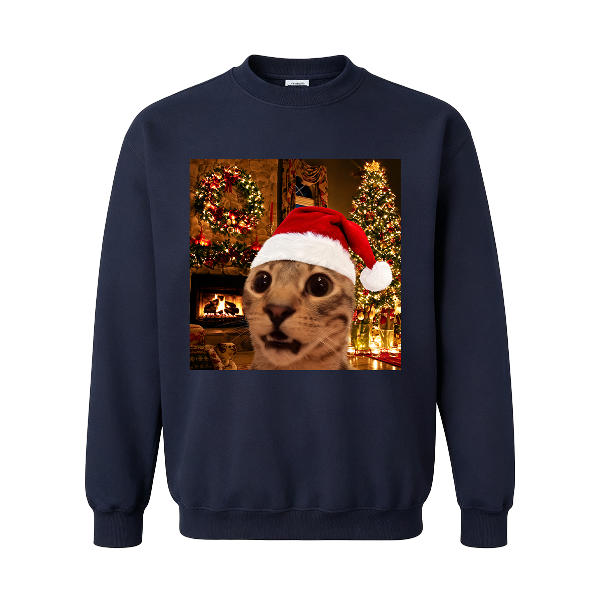 Funny Christmas Cat Oversized T-shirt