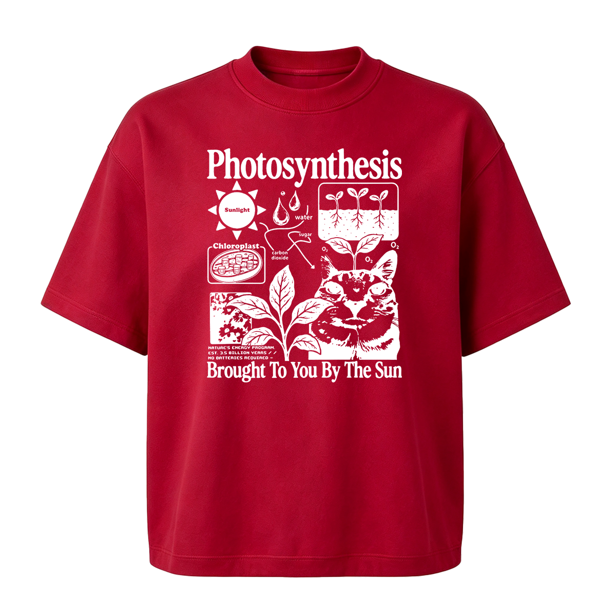 Photosynthesis Cat Oversized T-shirt
