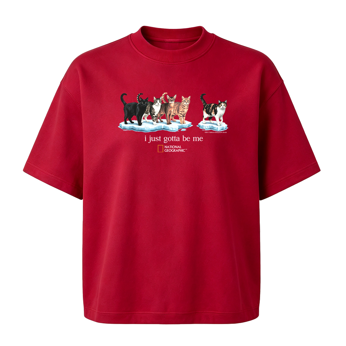 I Just Gotta Be Me T-shirt