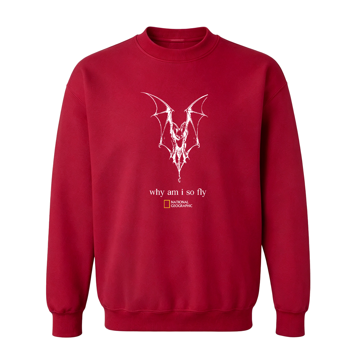 why am i so fly T-shirt