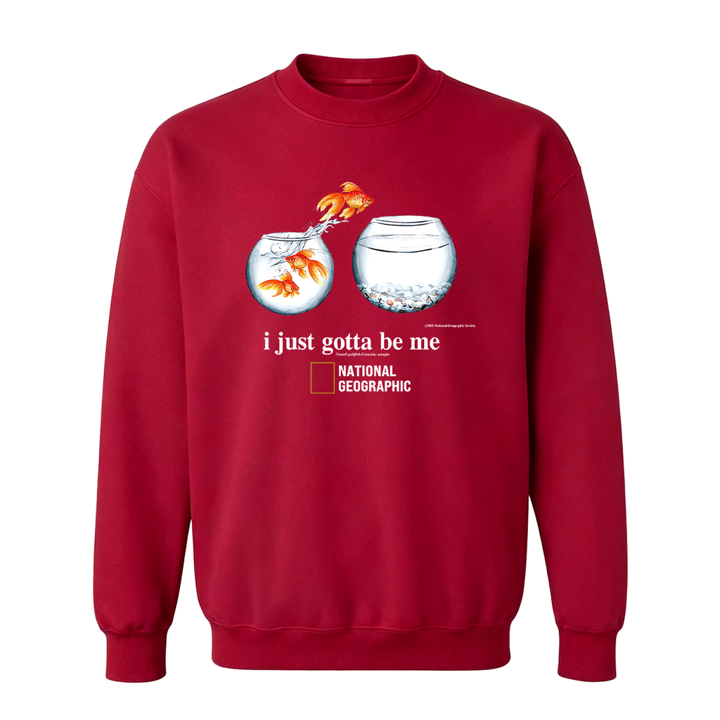 I Just Gotta Be Me Flying Goldfish Oversized T-shirt