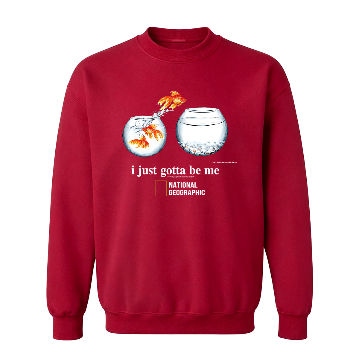 I Just Gotta Be Me Flying Goldfish Oversized T-shirt