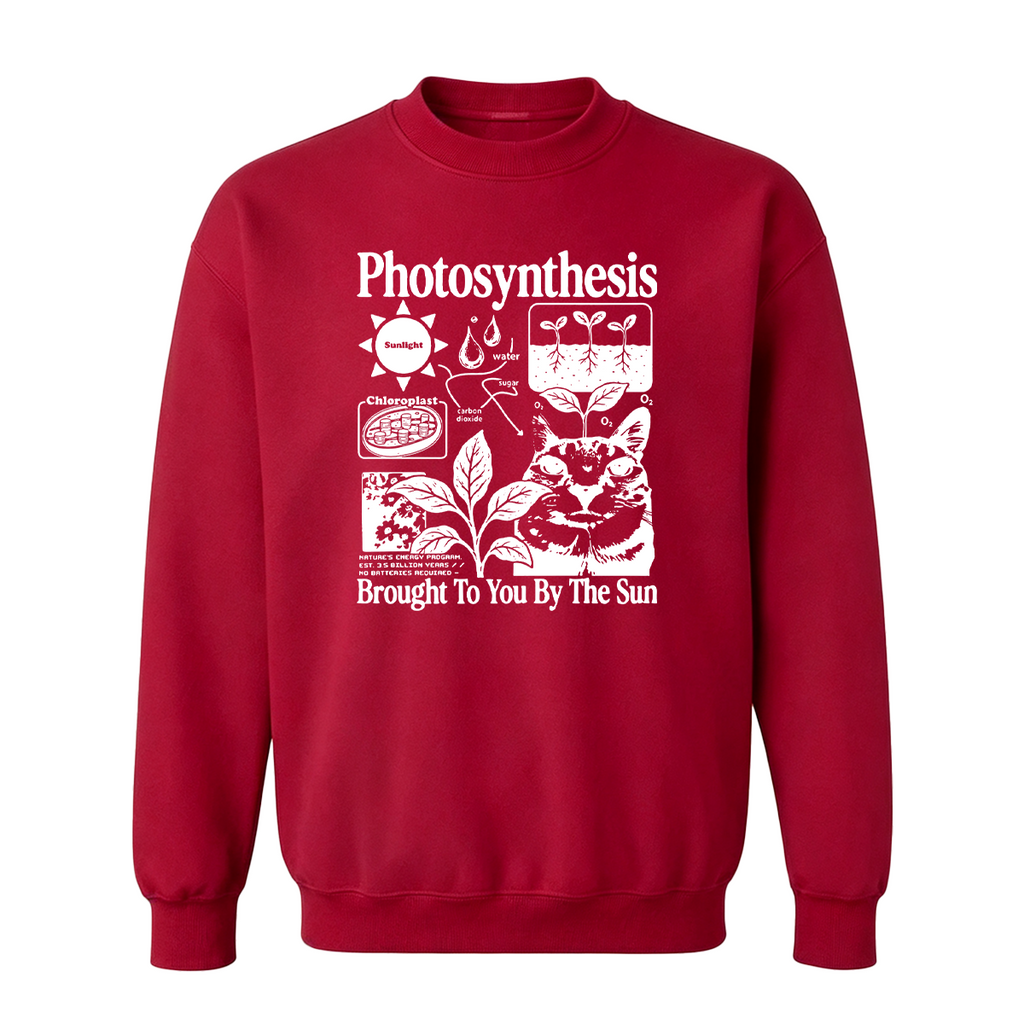 Photosynthesis Cat Oversized T-shirt