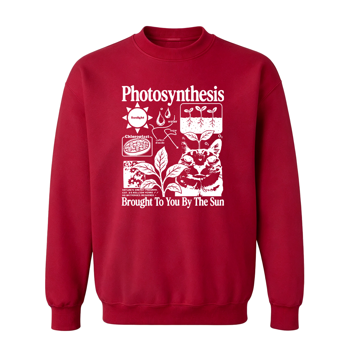 Photosynthesis Cat Oversized T-shirt