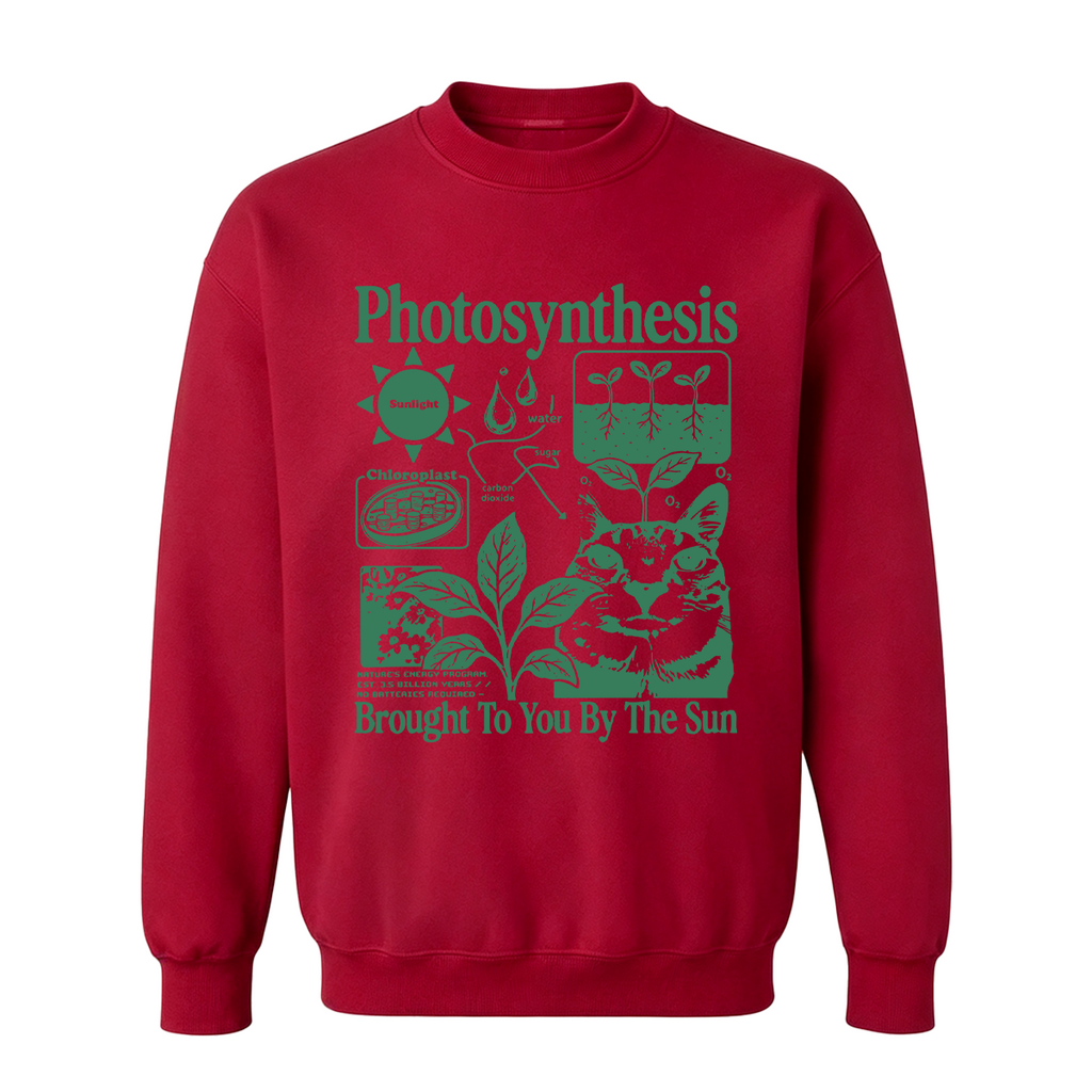 Photosynthesis Cat Oversized T-shirt