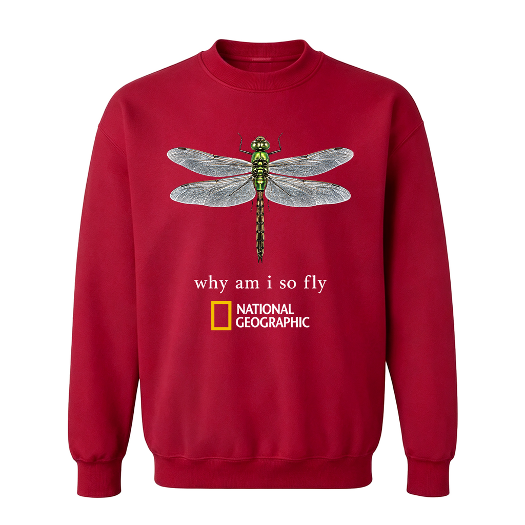 Vintage "Why Am I So Fly" Boxy Oversized T-shirt