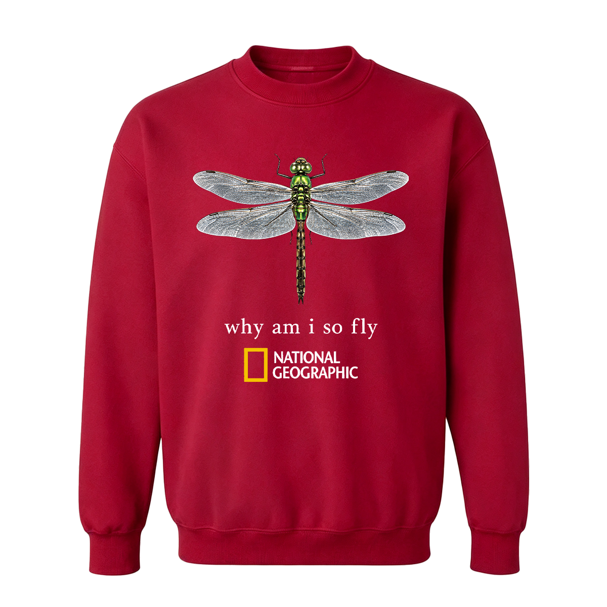 Vintage "Why Am I So Fly" Boxy Oversized T-shirt